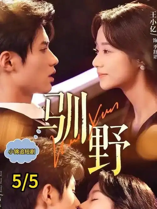 12集短剧取代40集长剧的行业分析